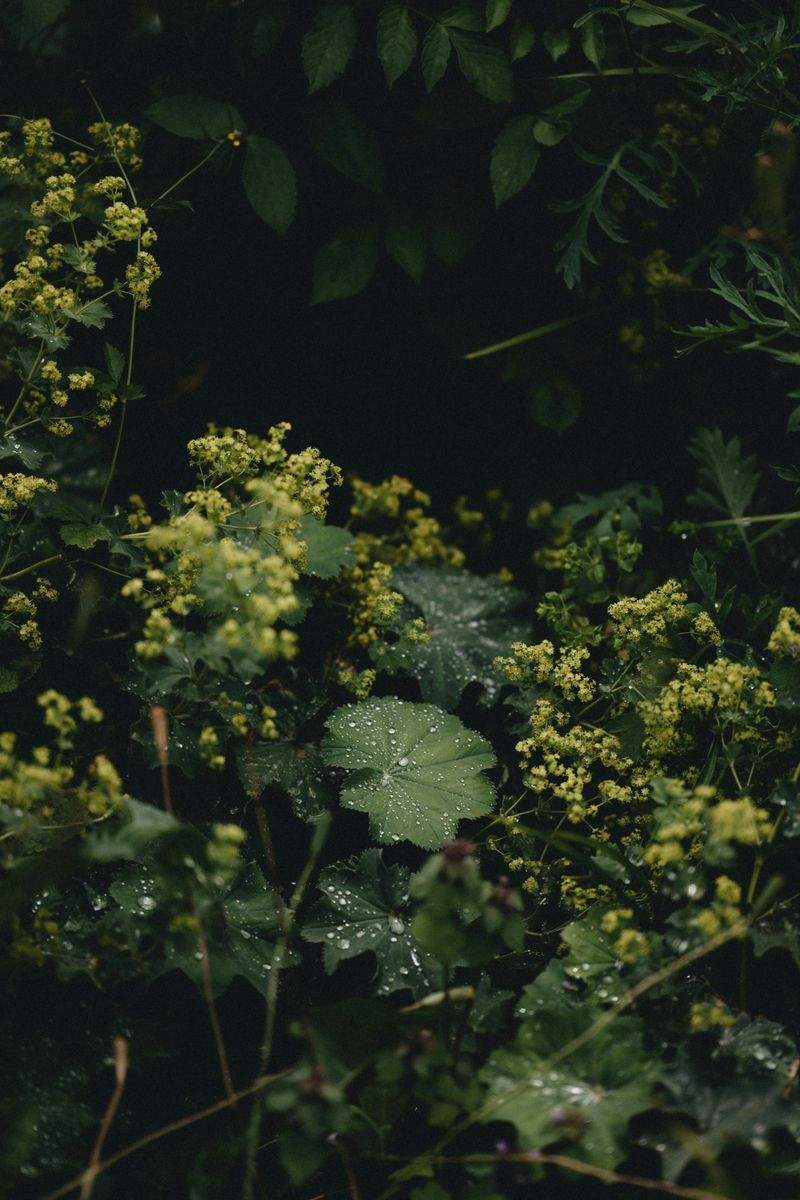 Grünraum Gartenservice GmbH 11