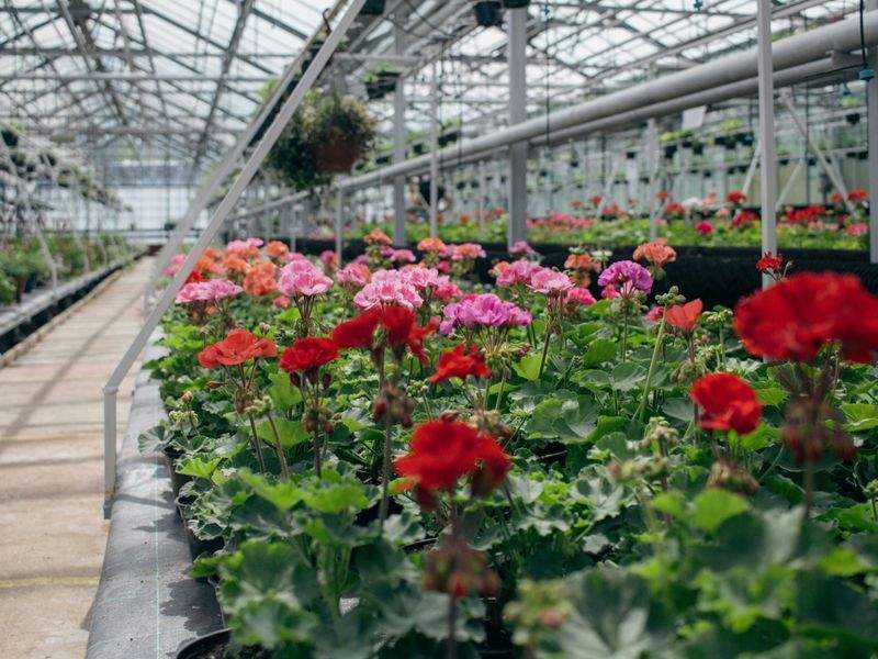 Grünraum Gartenservice GmbH 12