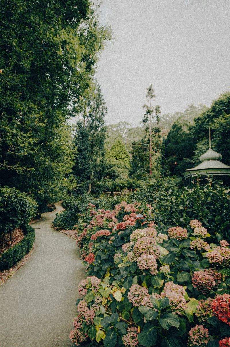 Grünraum Gartenservice GmbH 9